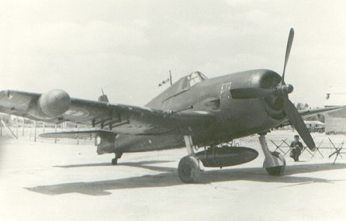Grumman F6F-5/ N Hellcat